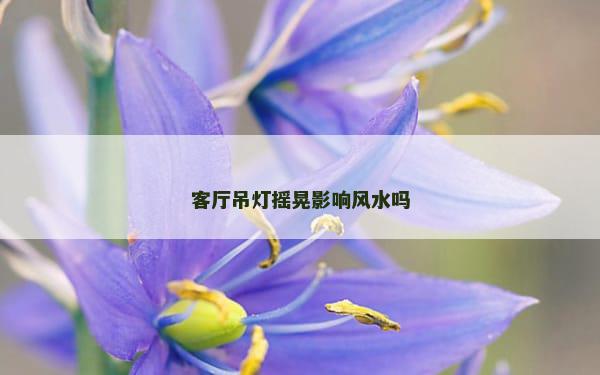 客厅吊灯摇晃影响风水吗