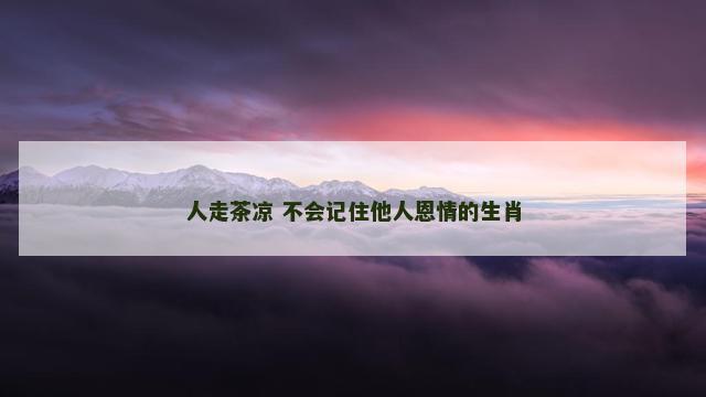 人走茶凉 不会记住他人恩情的生肖