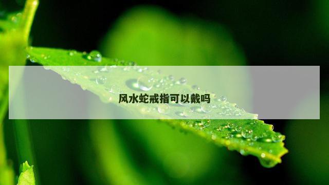 风水蛇戒指可以戴吗