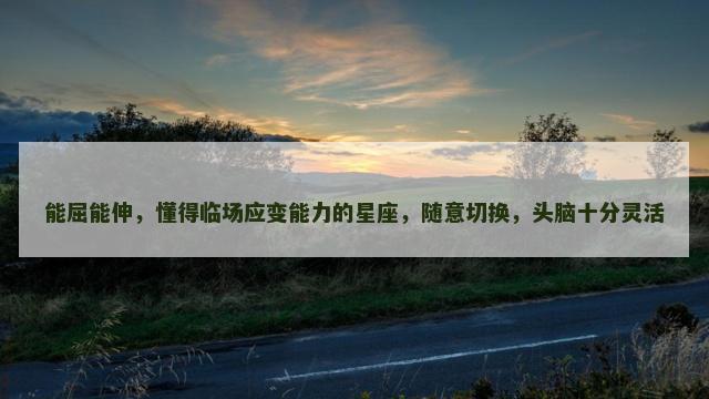 能屈能伸，懂得临场应变能力的星座，随意切换，头脑十分灵活