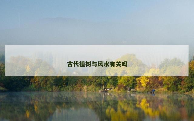 古代植树与风水有关吗