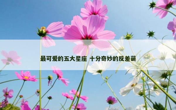 最可爱的五大星座 十分奇妙的反差萌