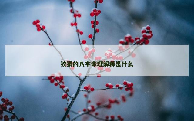 狡猾的八字命理解释是什么