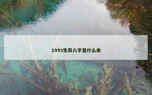 1993生辰八字是什么命