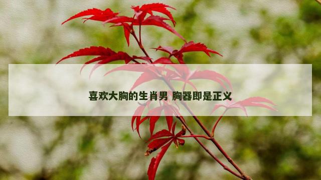 喜欢大胸的生肖男 胸器即是正义