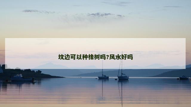 坟边可以种橡树吗?风水好吗
