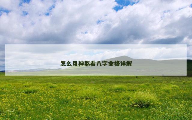 怎么用神煞看八字命格详解