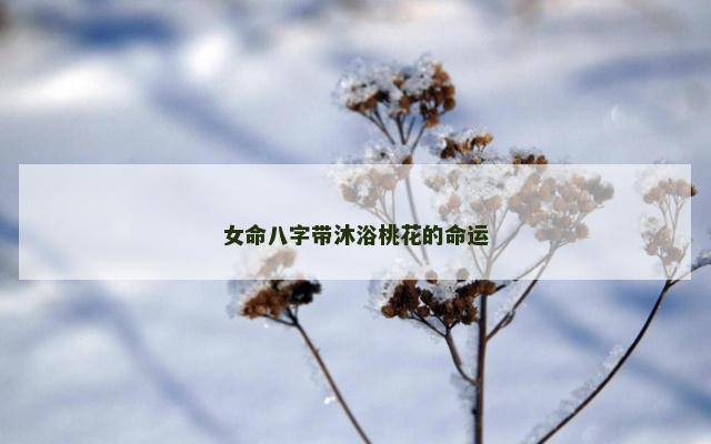 女命八字带沐浴桃花的命运