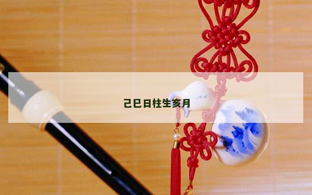 己巳日柱生亥月