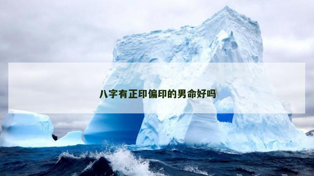 八字有正印偏印的男命好吗