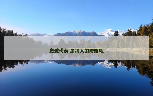 忠诚代表 属狗人的婚姻观