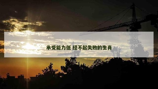 承受能力低 经不起失败的生肖