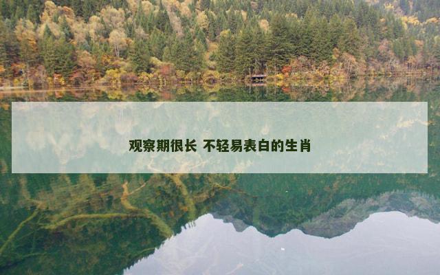 观察期很长 不轻易表白的生肖