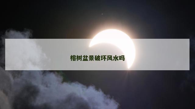 榕树盆景破坏风水吗