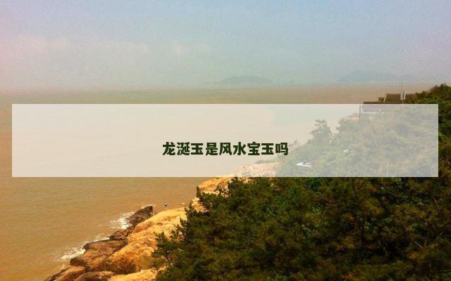 龙涎玉是风水宝玉吗