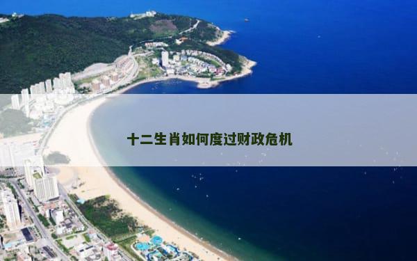十二生肖如何度过财政危机