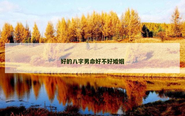 好的八字男命好不好婚姻