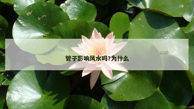 管子影响风水吗?为什么