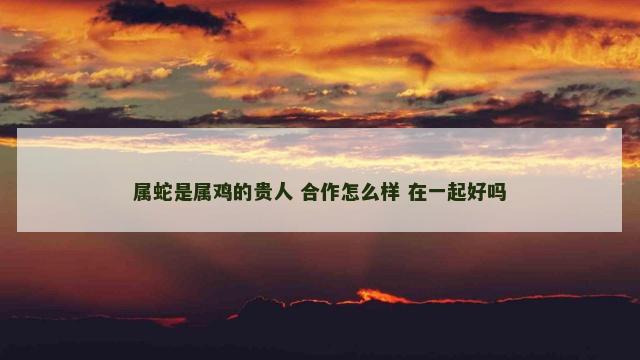 属蛇是属鸡的贵人 合作怎么样 在一起好吗
