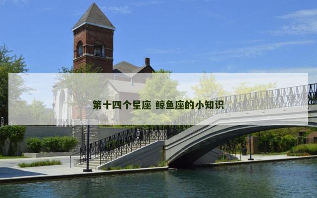 第十四个星座 鲸鱼座的小知识