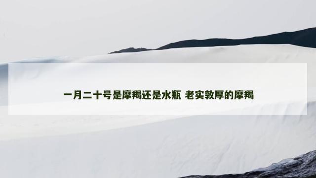 一月二十号是摩羯还是水瓶 老实敦厚的摩羯
