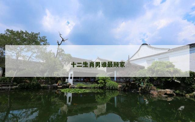 十二生肖男谁最顾家
