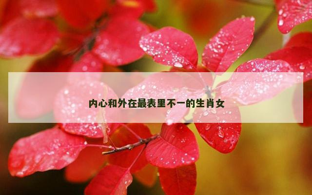 内心和外在最表里不一的生肖女