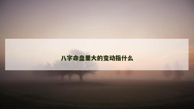 八字命盘里大的变动指什么