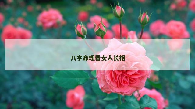 八字命理看女人长相