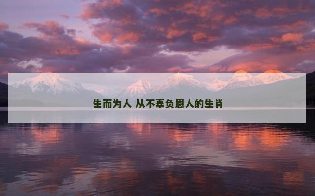 生而为人 从不辜负恩人的生肖