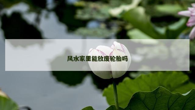 风水家里能放废轮胎吗