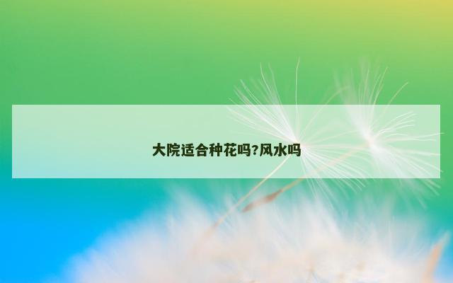 大院适合种花吗?风水吗