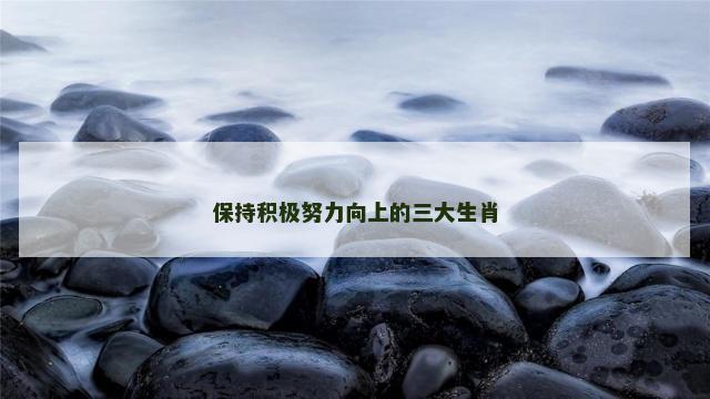 保持积极努力向上的三大生肖