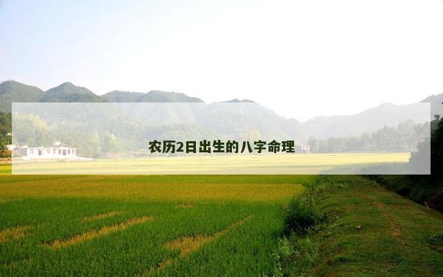 农历2日出生的八字命理