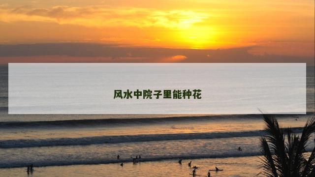 风水中院子里能种花