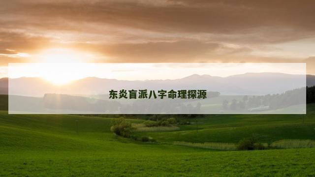 东炎盲派八字命理探源