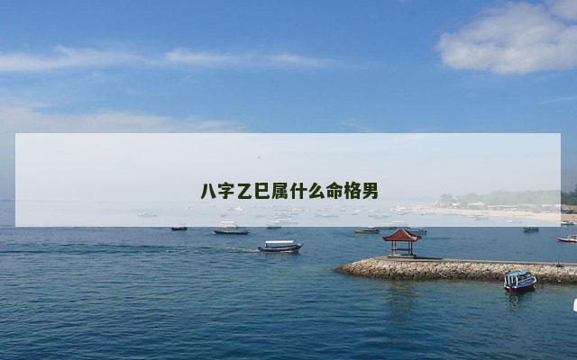 八字乙巳属什么命格男