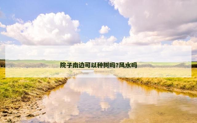 院子南边可以种树吗?风水吗