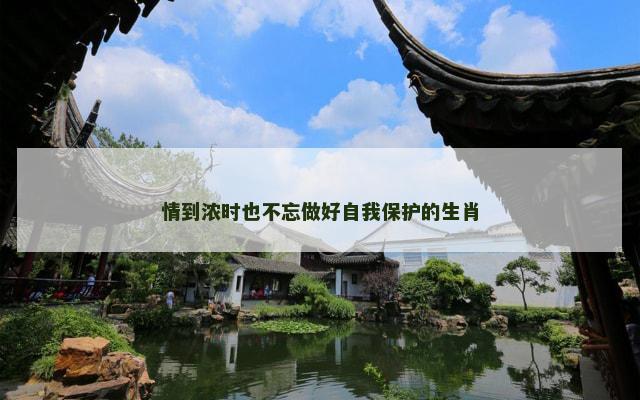 情到浓时也不忘做好自我保护的生肖