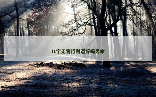 八字无官行财运好吗男命