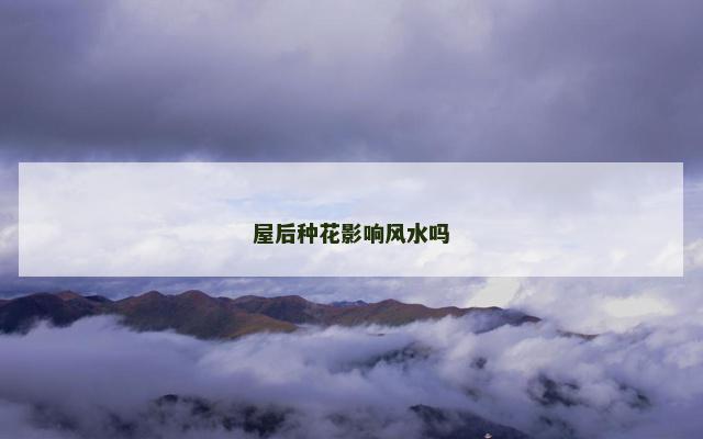 屋后种花影响风水吗