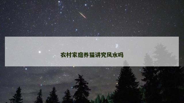 农村家庭养猫讲究风水吗