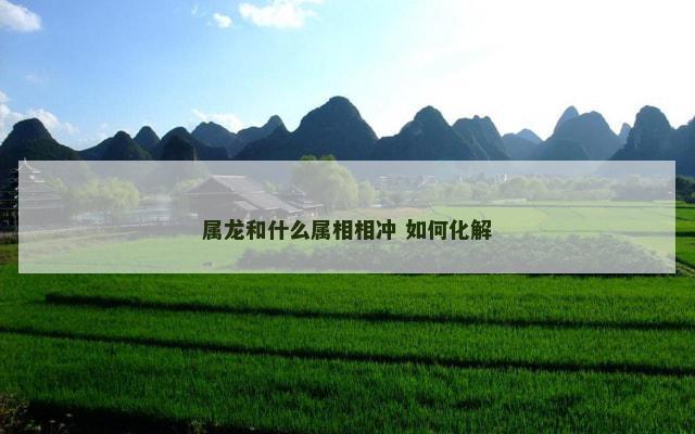 属龙和什么属相相冲 如何化解