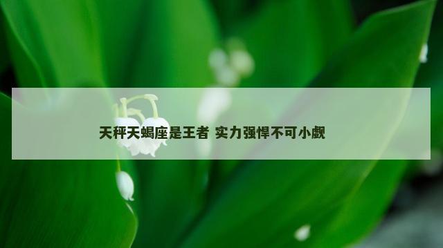 天秤天蝎座是王者 实力强悍不可小觑 　　