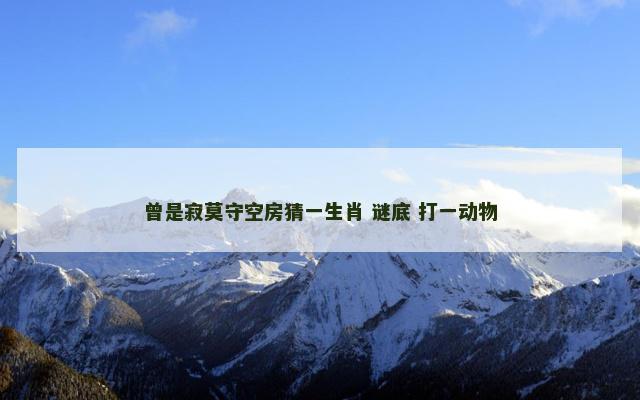 曾是寂莫守空房猜一生肖 谜底 打一动物