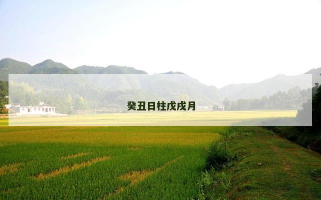 癸丑日柱戊戌月
