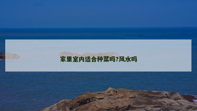 家里室内适合种菜吗?风水吗