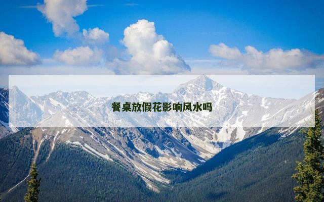 餐桌放假花影响风水吗