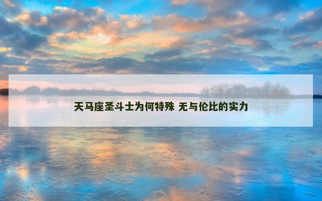 天马座圣斗士为何特殊 无与伦比的实力