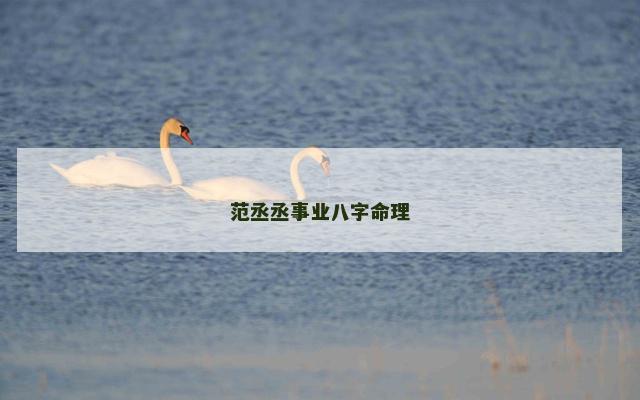 范丞丞事业八字命理